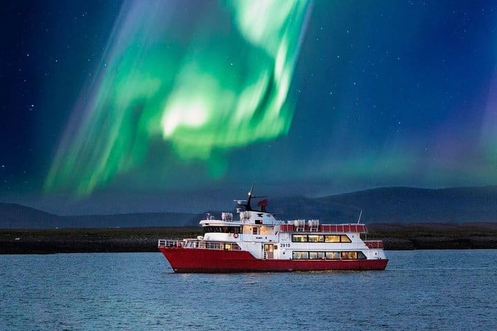 Crucero de invierno con avistamiento de ballenas y auroras boreales desde Reikiavik