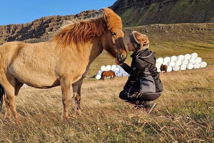 Visita privada a la granja y excursión de un día al Círculo de Plata en Islandia Occidental