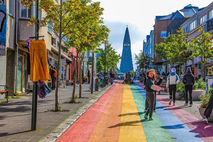 Recorrido privado de medio día por la ciudad de Reykjavik