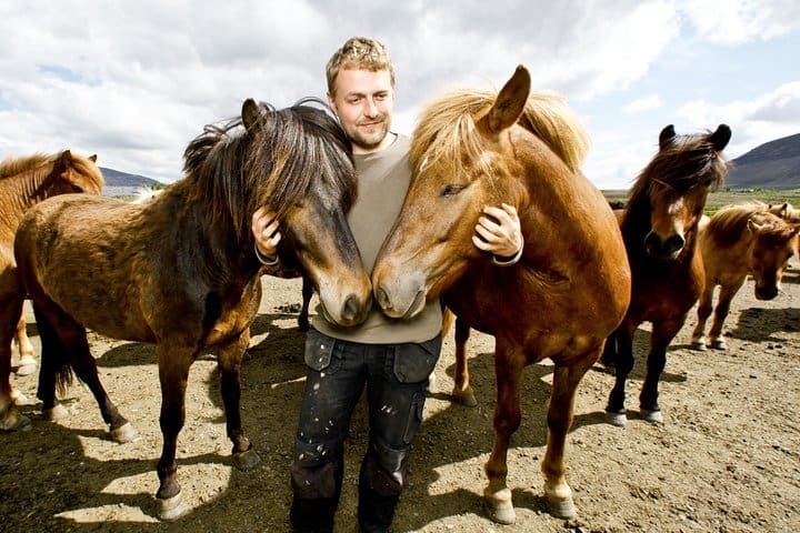 Tour a caballo por Islandia que incluye recogida en Reykjavik