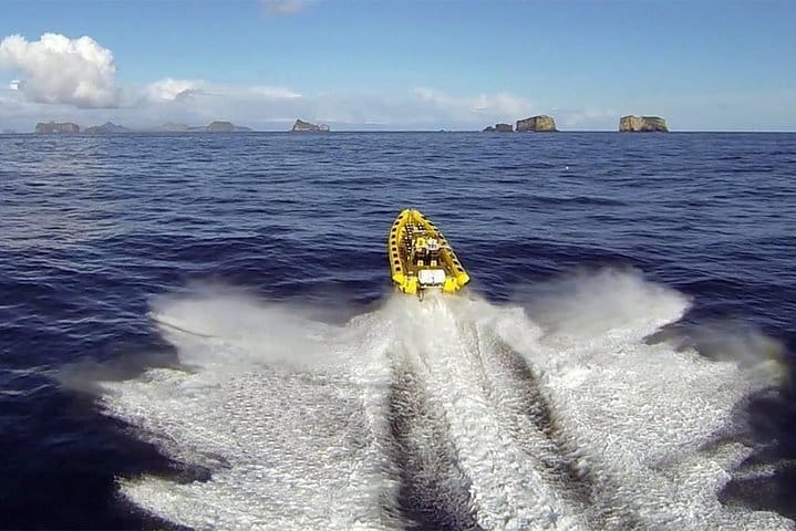 2 horas ida y vuelta en Vestmannaeyjar en un barco RIB