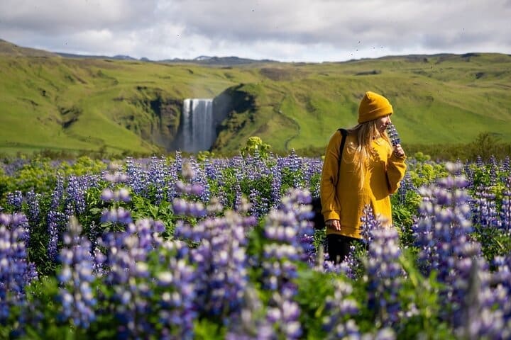 7 – Viaje en grupo pequeño por Islandia