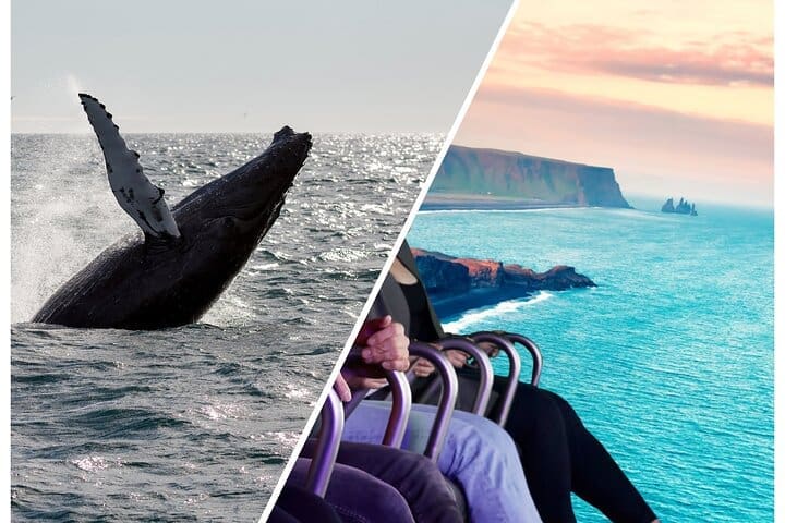Tour guiado de avistamiento de ballenas y sobrevuelo de Islandia