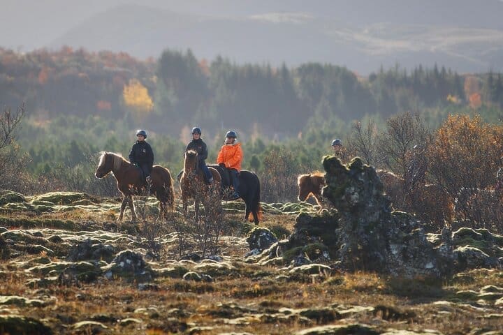 Paseo a caballo privado islandés : Ajustado al nivel de habilidad