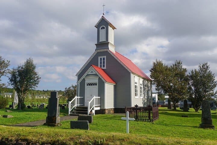 Tour privado del fiordo de ballenas y el círculo de plata