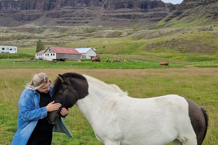 Privado 2 días de estancia en la granja y Snæfellsnes más Silver Circle