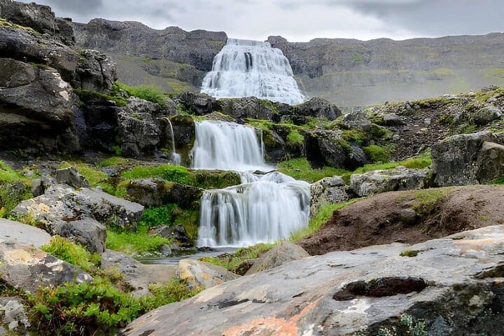 Puerto de Isafjordur : Tour en grupo pequeño por la cascada de Dynjandi & visita a la granja