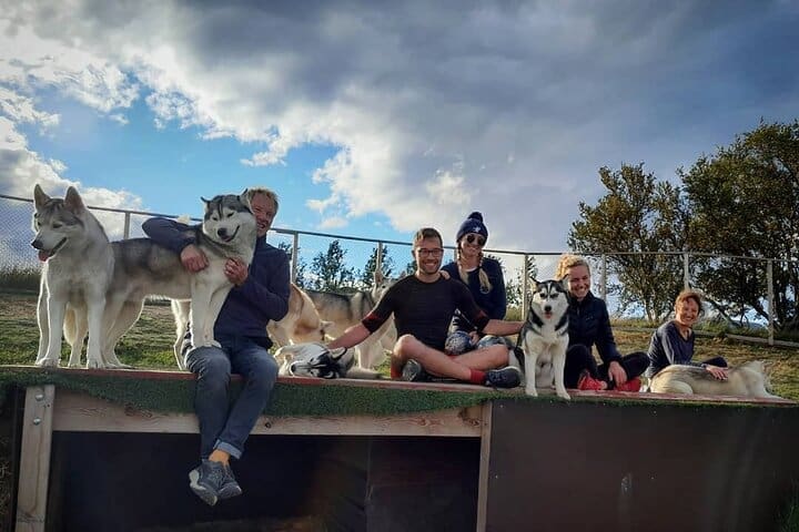 Acariciamiento de husky en Akureyri (privado)