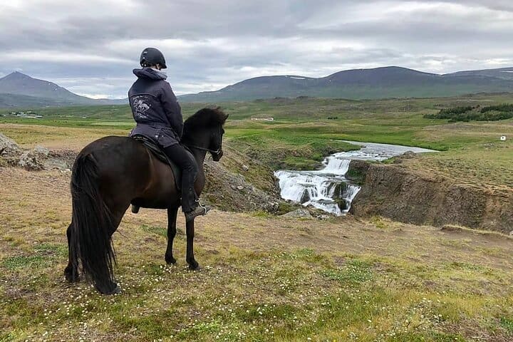 Tour corto a caballo con fotos llamativas en la cascada