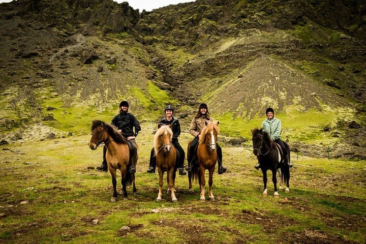 Tour a caballo en Reykjadalur (Smoky Valley): todos los niveles de equitación