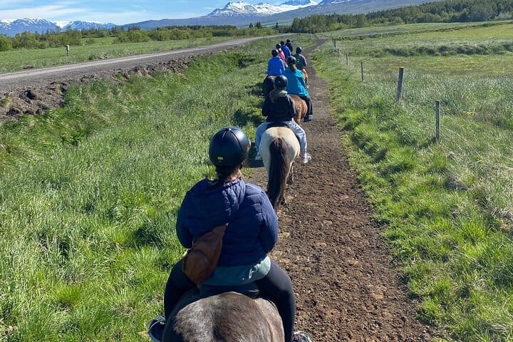 Tour a caballo y explorar paisajes en Gásir Akureyri