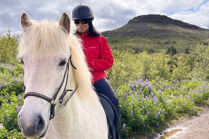 2 horas de paseo a caballo privado al lago Hafravatn, Reykjavík – Mos
