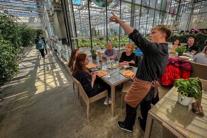 Círculo Dorado y Almuerzo en Fridheimar Tomate Farm Tour para grupos pequeños