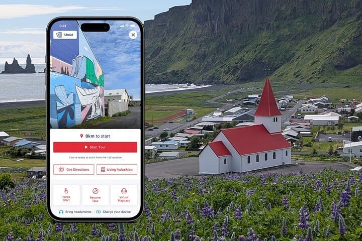 Visita guiada a pie por Vik i Myrdal Village