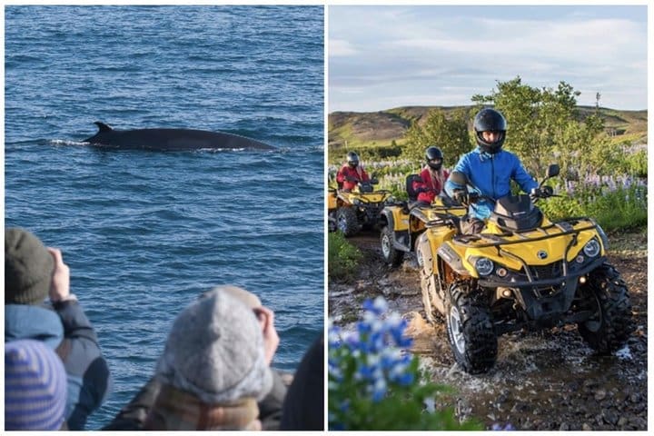 Crucero de avistamiento de ballenas y aventura en quad desde Reikiavik