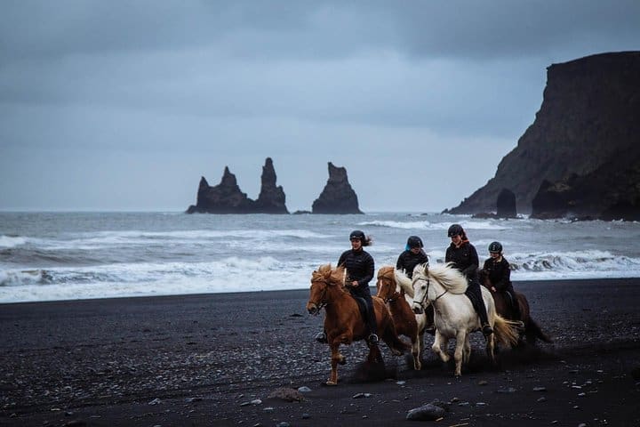 Excursión a caballo por la playa de arena negra desde Vik