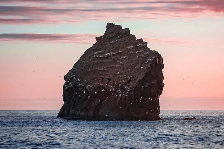 Maravillas de la Península de Reykjanes