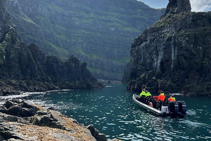 Safari guiado de 1 hora por la naturaleza y la vida salvaje de Islandia en RIB para grupos pequeños