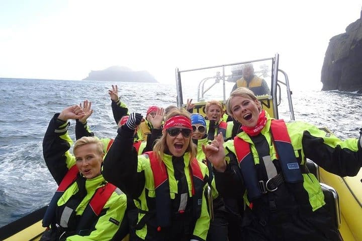 Excursión en barco de 1 h en grupo pequeño en Vestmannaeyjar
