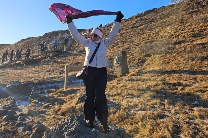 Visita privada al Círculo Dorado y a la granja Fridheimar desde Reikiavik