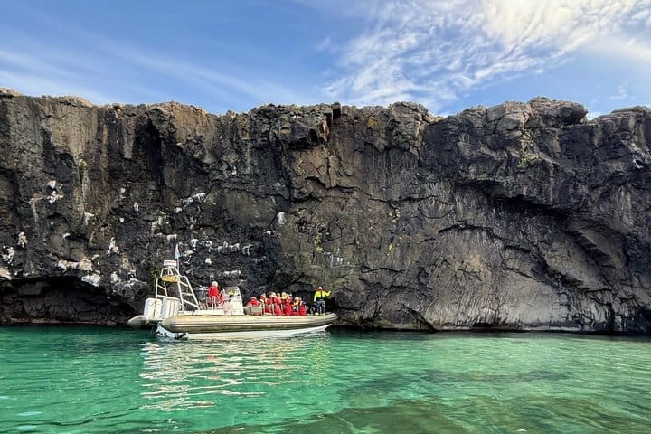 Excursión en barco por Neskaupstaður RIB con bebida