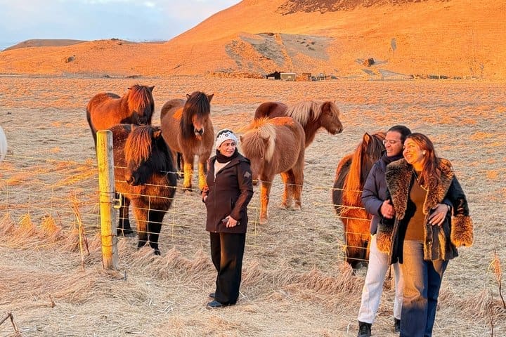 Noche privada de aventuras y cuentos vikingos en la costa sur