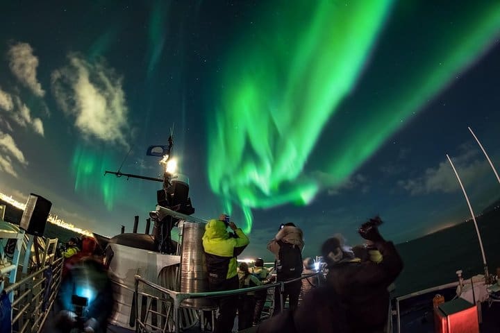 Islandia Super Saver: Crucero de la aurora boreal y recorrido de avistamiento de ballenas desde Reikiavik