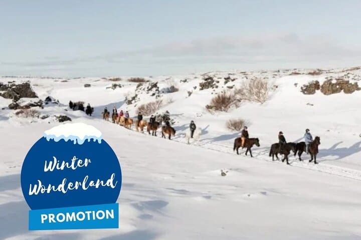 Tour a caballo islandés con opción de recogida desde Reikiavik