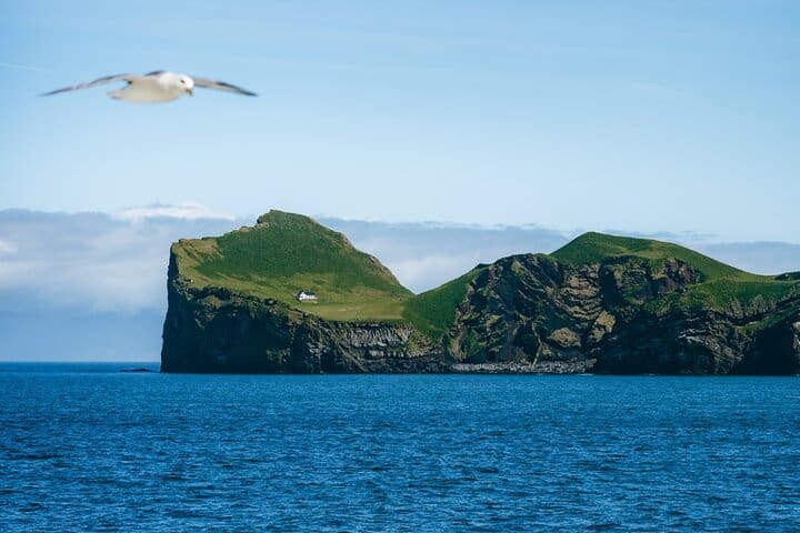 Tour privado de un día a Vestmannaeyjar frailecillos y joyas ocultas