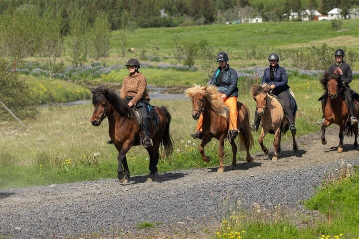 El Tour del Patrimonio desde Reikiavik: Paseo de 1,5 a 2 horas