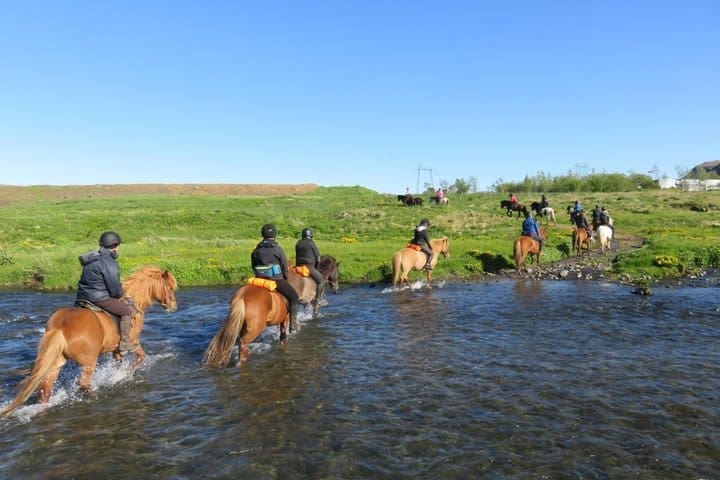 Tour Siggi desde Reikiavik: Paseo de 1,5 a 2 horas