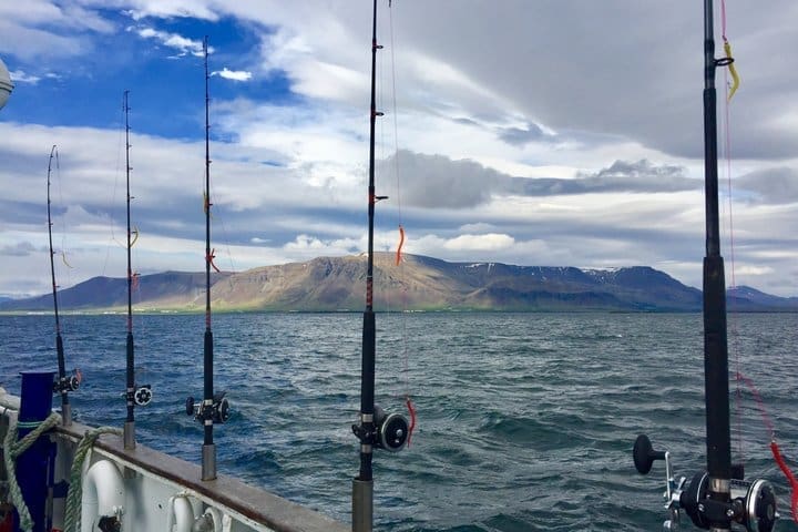 Excursión de pesca al atardecer en Faxaflói Bay