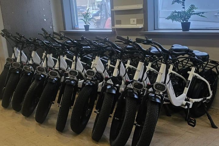 Alquiler E-bike en Vestmannaeyjar
