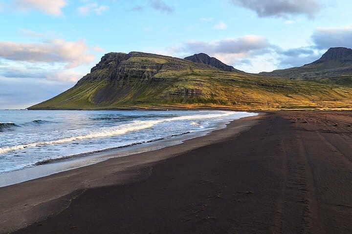 Visita guiada privada en Vöðlavík Black Beach