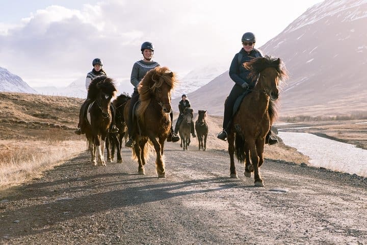 Excursión de un día a caballo por la casa de césped