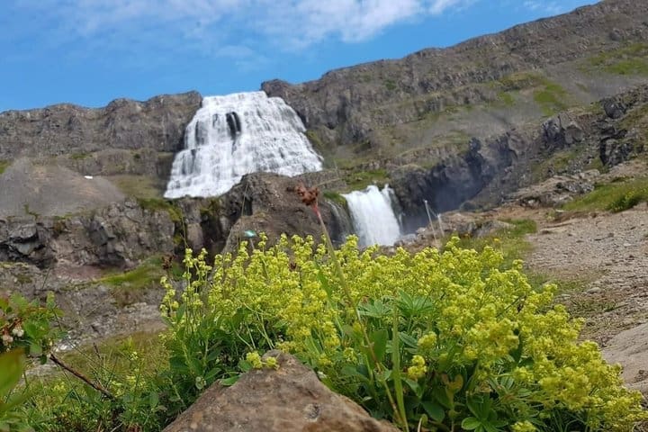 Excursión privada en superjeep de día completo desde Ísafjörður