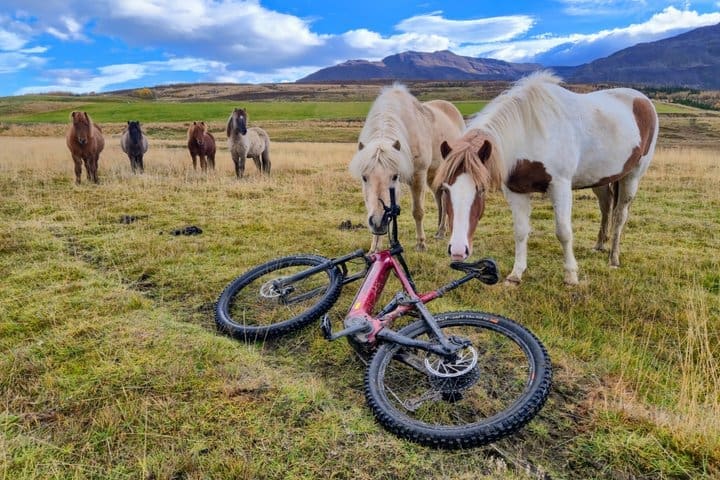 Tour privado de Svarfadadalur E MTB
